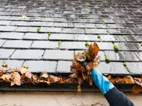 Gutter Clogged