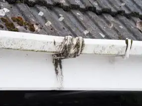 Gutter Mold
